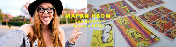 дживик Новозыбков