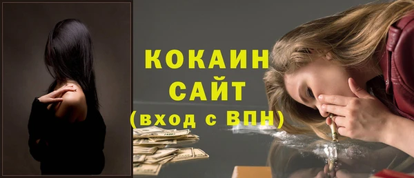дживик Новозыбков