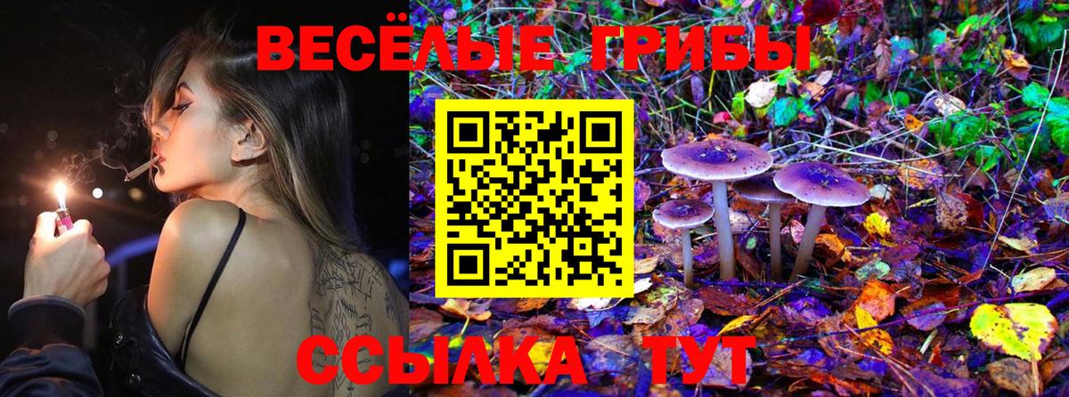 Галлюциногенные грибы Psilocybe Батайск